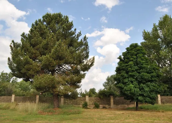 度假居 Arroyo Del Valle No Hay Piscina San Andrés del Rabanedo